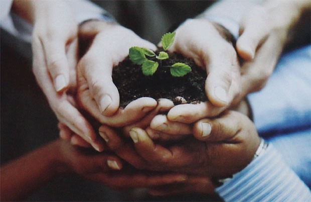 Những bàn tay trong gian khó